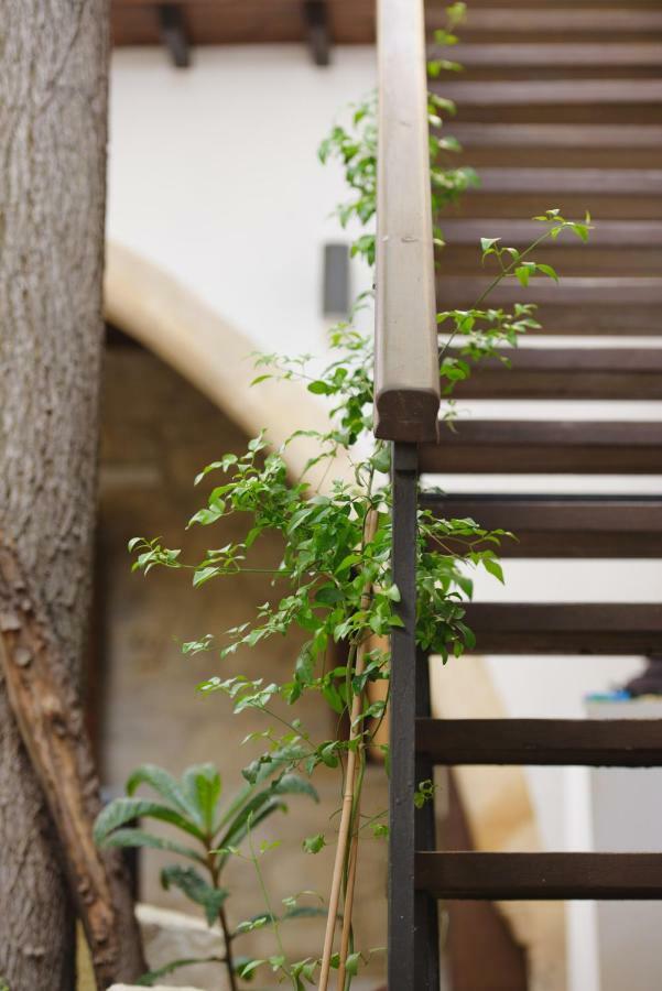 Serenity Boutique House Vouni ภายนอก รูปภาพ
